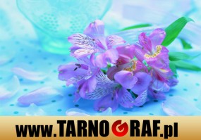 Fototapeta na wymiar - P.H.U. TARNOGRAF - Fabryka Reklamy Tarnobrzeg