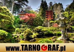 Fototapeta na wymiar - P.H.U. TARNOGRAF - Fabryka Reklamy Tarnobrzeg