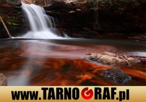 Fototapeta na wymiar - P.H.U. TARNOGRAF - Fabryka Reklamy Tarnobrzeg