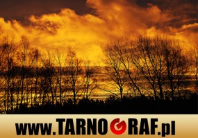 Fototapeta na wymiar - P.H.U. TARNOGRAF - Fabryka Reklamy Tarnobrzeg