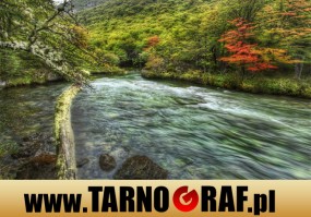 Fototapeta na wymiar - P.H.U. TARNOGRAF - Fabryka Reklamy Tarnobrzeg