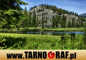 Fototapeta na wymiar - P.H.U. TARNOGRAF - Fabryka Reklamy Tarnobrzeg