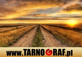 Fototapeta na wymiar - P.H.U. TARNOGRAF - Fabryka Reklamy Tarnobrzeg