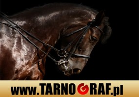 Fototapeta na wymiar - P.H.U. TARNOGRAF - Fabryka Reklamy Tarnobrzeg