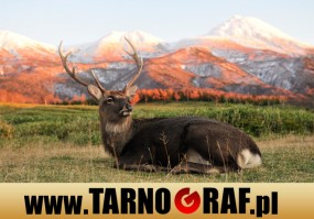 Fototapeta na wymiar - P.H.U. TARNOGRAF - Fabryka Reklamy Tarnobrzeg