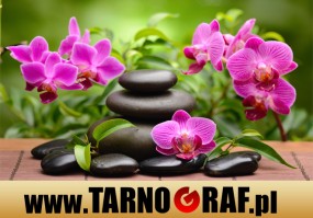 Fototapeta na wymiar - P.H.U. TARNOGRAF - Fabryka Reklamy Tarnobrzeg