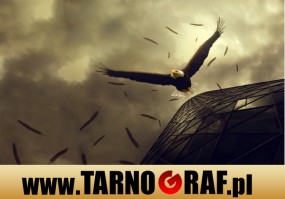 Fototapeta na wymiar - P.H.U. TARNOGRAF - Fabryka Reklamy Tarnobrzeg