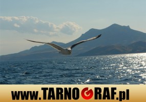 Fototapeta na wymiar - P.H.U. TARNOGRAF - Fabryka Reklamy Tarnobrzeg