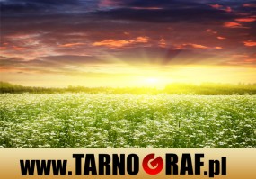 Fototapeta na wymiar - P.H.U. TARNOGRAF - Fabryka Reklamy Tarnobrzeg