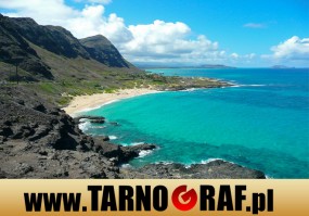 Fototapeta na wymiar - P.H.U. TARNOGRAF - Fabryka Reklamy Tarnobrzeg