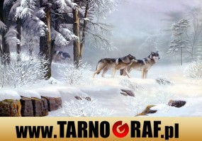 Fototapeta na wymiar - P.H.U. TARNOGRAF - Fabryka Reklamy Tarnobrzeg