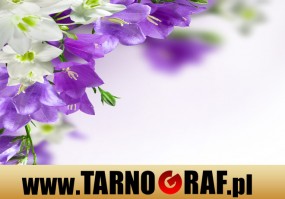 Fototapeta na wymiar - P.H.U. TARNOGRAF - Fabryka Reklamy Tarnobrzeg