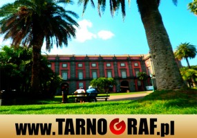 Fototapeta na wymiar - P.H.U. TARNOGRAF - Fabryka Reklamy Tarnobrzeg