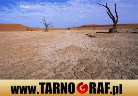 Fototapeta na wymiar - P.H.U. TARNOGRAF - Fabryka Reklamy Tarnobrzeg