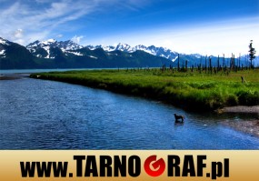 Fototapeta na wymiar - P.H.U. TARNOGRAF - Fabryka Reklamy Tarnobrzeg