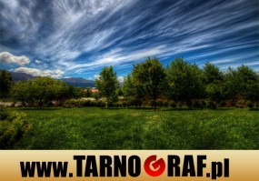 Fototapeta na wymiar - P.H.U. TARNOGRAF - Fabryka Reklamy Tarnobrzeg