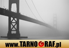 Fototapeta na wymiar - P.H.U. TARNOGRAF - Fabryka Reklamy Tarnobrzeg