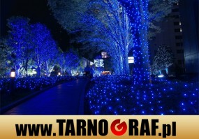 Fototapeta na wymiar - P.H.U. TARNOGRAF - Fabryka Reklamy Tarnobrzeg