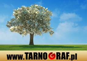 Fototapeta na wymiar - P.H.U. TARNOGRAF - Fabryka Reklamy Tarnobrzeg