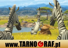 Fototapeta na wymiar - P.H.U. TARNOGRAF - Fabryka Reklamy Tarnobrzeg