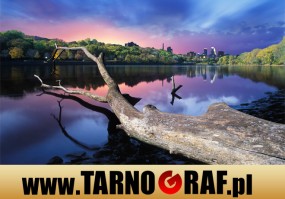 Fototapeta na wymiar - P.H.U. TARNOGRAF - Fabryka Reklamy Tarnobrzeg