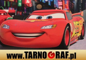 Fototapeta na wymiar - P.H.U. TARNOGRAF - Fabryka Reklamy Tarnobrzeg