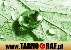 Fototapeta na wymiar - P.H.U. TARNOGRAF - Fabryka Reklamy Tarnobrzeg