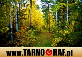 Fototapeta na wymiar - P.H.U. TARNOGRAF - Fabryka Reklamy Tarnobrzeg