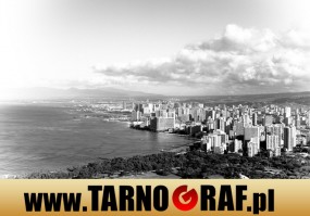 Fototapeta na wymiar - P.H.U. TARNOGRAF - Fabryka Reklamy Tarnobrzeg