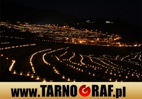 Fototapeta na wymiar - P.H.U. TARNOGRAF - Fabryka Reklamy Tarnobrzeg