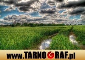 Fototapeta na wymiar - P.H.U. TARNOGRAF - Fabryka Reklamy Tarnobrzeg