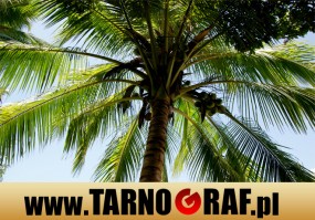 Fototapeta na wymiar - P.H.U. TARNOGRAF - Fabryka Reklamy Tarnobrzeg