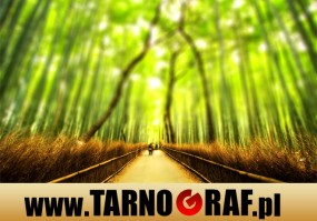 Fototapeta na wymiar - P.H.U. TARNOGRAF - Fabryka Reklamy Tarnobrzeg