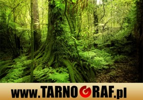 Fototapeta na wymiar - P.H.U. TARNOGRAF - Fabryka Reklamy Tarnobrzeg