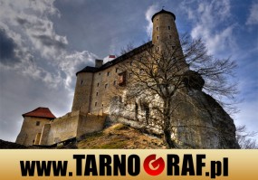 Fototapeta na wymiar - P.H.U. TARNOGRAF - Fabryka Reklamy Tarnobrzeg