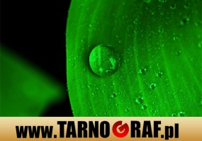 Fototapeta na wymiar - P.H.U. TARNOGRAF - Fabryka Reklamy Tarnobrzeg