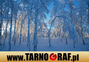 Fototapeta na wymiar - P.H.U. TARNOGRAF - Fabryka Reklamy Tarnobrzeg