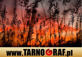 Fototapeta na wymiar - P.H.U. TARNOGRAF - Fabryka Reklamy Tarnobrzeg