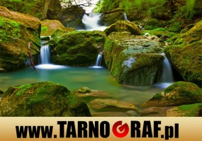 Fototapeta na wymiar - P.H.U. TARNOGRAF - Fabryka Reklamy Tarnobrzeg