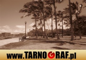 Fototapeta na wymiar - P.H.U. TARNOGRAF - Fabryka Reklamy Tarnobrzeg