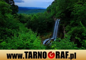 Fototapeta na wymiar - P.H.U. TARNOGRAF - Fabryka Reklamy Tarnobrzeg