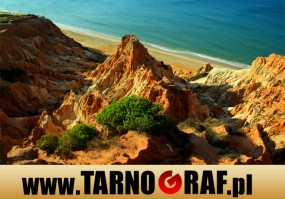 Fototapeta na wymiar - P.H.U. TARNOGRAF - Fabryka Reklamy Tarnobrzeg