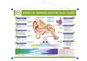 Budowa ucha, walka z hałasem RPS - Pomocedydaktyczne.info Niedary