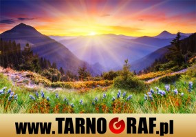 Fototapeta na wymiar - P.H.U. TARNOGRAF - Fabryka Reklamy Tarnobrzeg