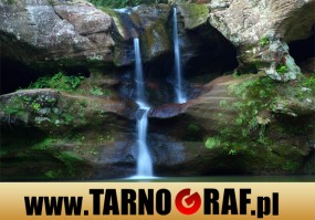 Fototapeta na wymiar - P.H.U. TARNOGRAF - Fabryka Reklamy Tarnobrzeg