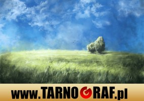 Fototapeta na wymiar - P.H.U. TARNOGRAF - Fabryka Reklamy Tarnobrzeg