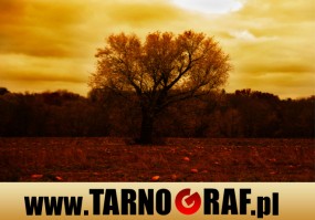 Fototapeta na wymiar - P.H.U. TARNOGRAF - Fabryka Reklamy Tarnobrzeg