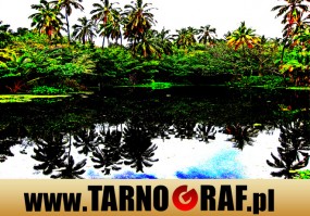 Fototapeta na wymiar - P.H.U. TARNOGRAF - Fabryka Reklamy Tarnobrzeg