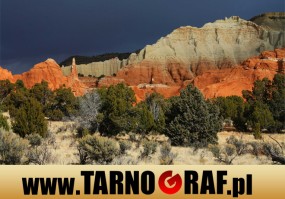 Fototapeta na wymiar - P.H.U. TARNOGRAF - Fabryka Reklamy Tarnobrzeg