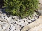 Kamień ogrodowy workowany Limanowa - Limadrew